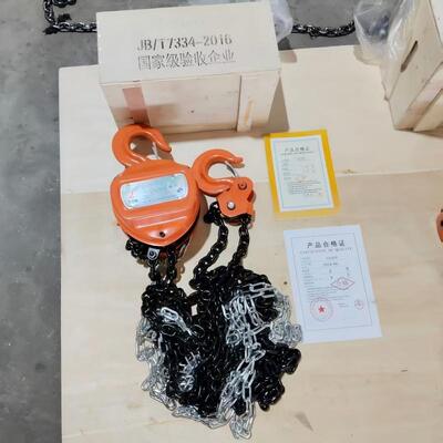 0.5Ton - 30Ton Compact Chain Hoist Customized Manual Chain Blocks