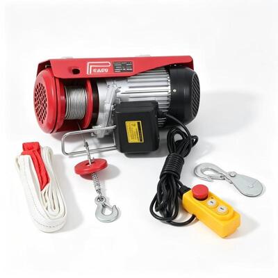 Low Noise Mini Wire Rope Hoist PA300 PA400 PA600 PA800 PA1000 Mini Hoist Winch