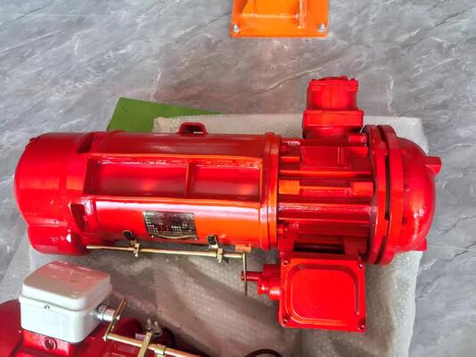 BCD Wire Rope Electric Hoist Overload Protection Explosion Proof Electric Hoist Heavy Duty