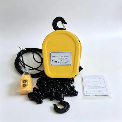 220V 380V 1 Ton Electric Chain Hoist 6m Lifting Height Small Electric Hoist