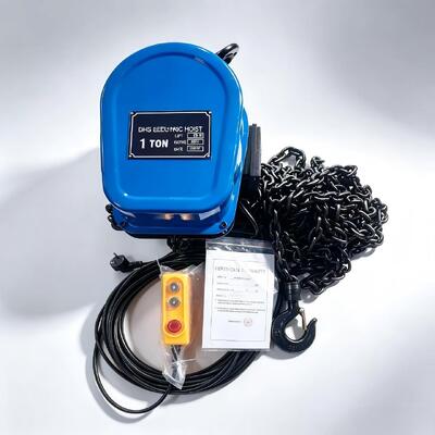 220V 380V 1 Ton Electric Chain Hoist 6m Lifting Height Small Electric Hoist